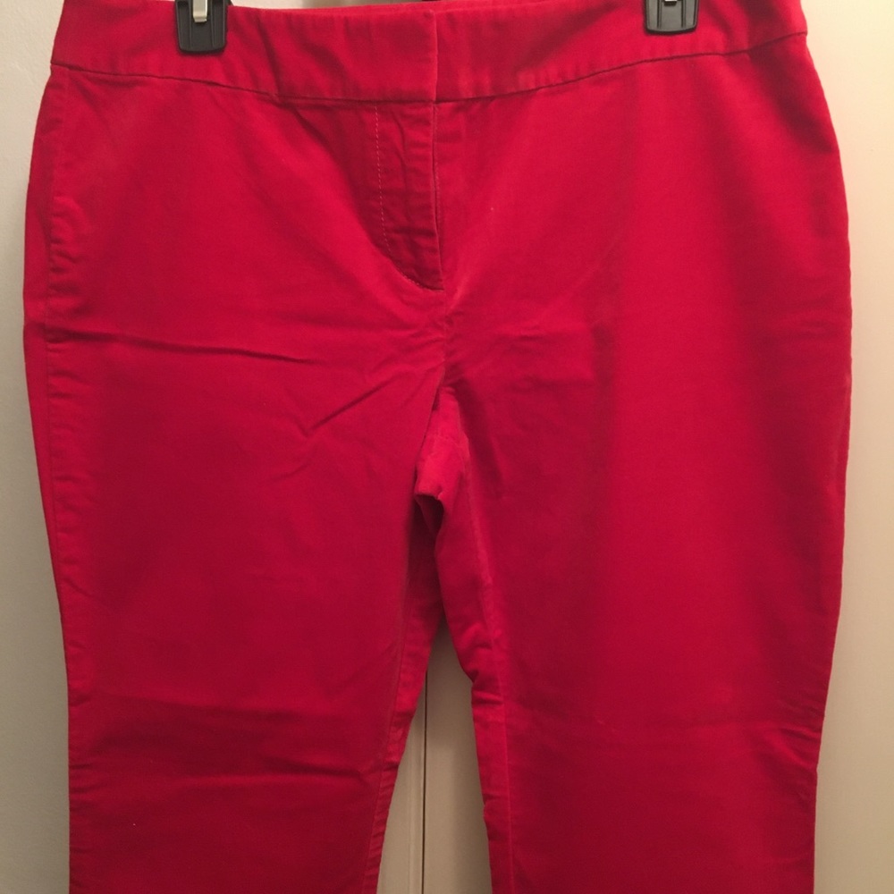 Ann Taylor Loft Velveteen Pants